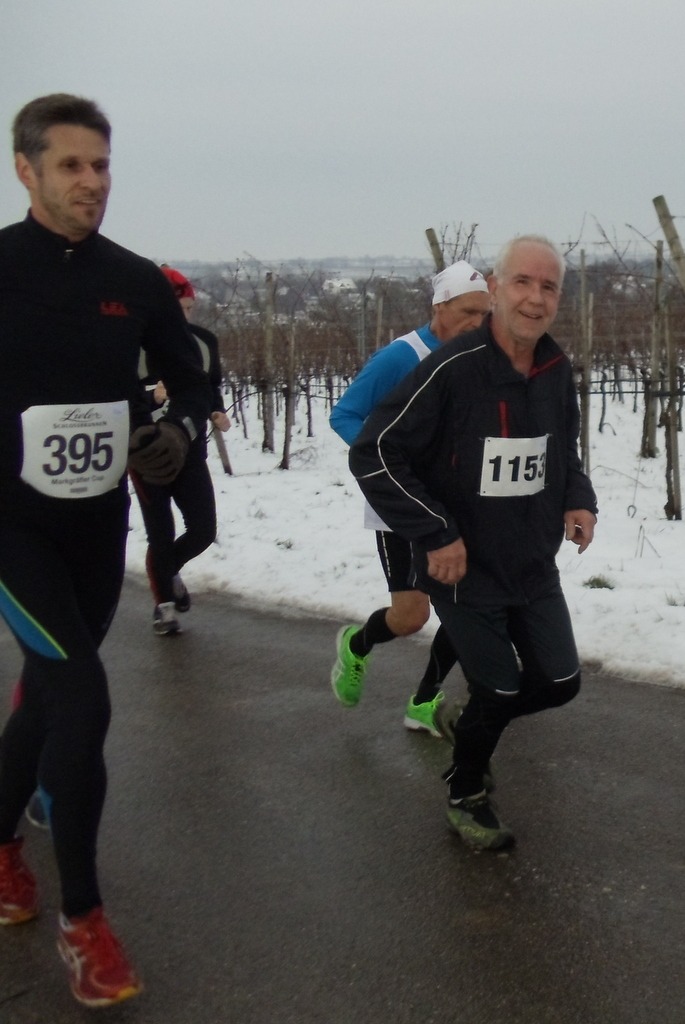 laeufer_2015_2_gross Läuferinnen und Läufer der Laufgruppe des TV Wolfenweiler-Schallstadt bei einem Wettkampf 2015