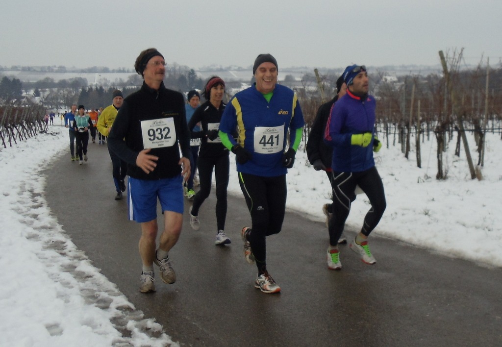laeufer_2015_4_gross Läuferinnen und Läufer der Laufgruppe des TV Wolfenweiler-Schallstadt bei einem Wettkampf 2015