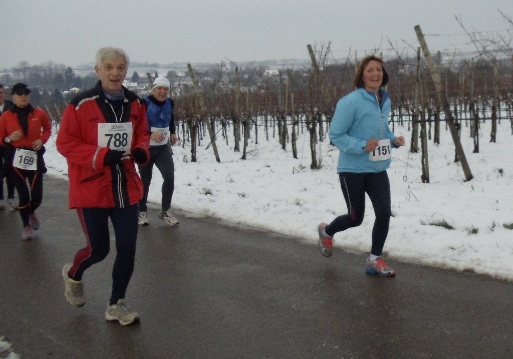 laeufer_2015_6_gross Läuferinnen und Läufer der Laufgruppe des TV Wolfenweiler-Schallstadt bei einem Wettkampf 2015