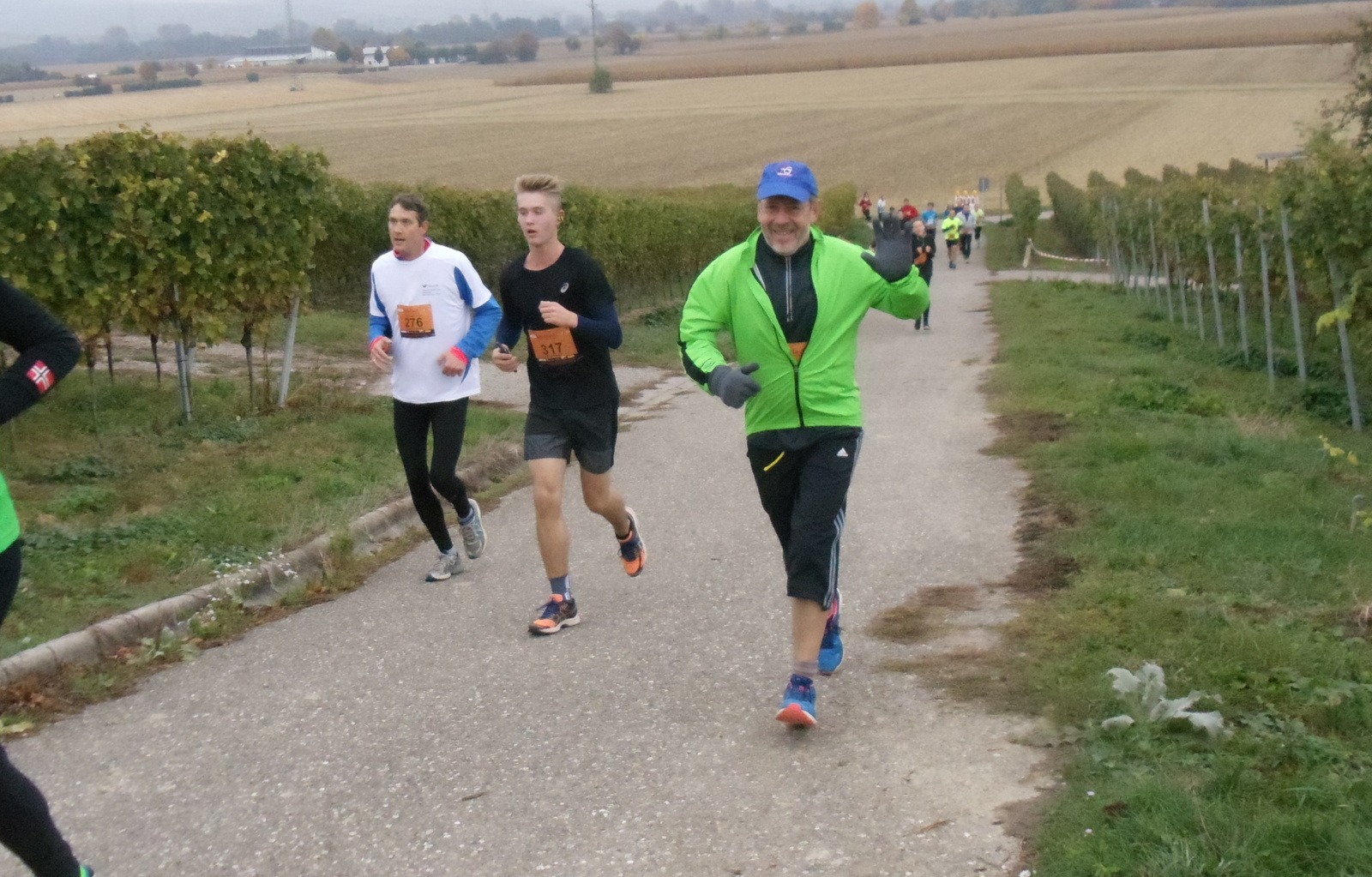 laeufer_2016_18_gross Läuferinnen und Läufer der Laufgruppe des TV Wolfenweiler-Schallstadt bei einem Wettkampf 2016