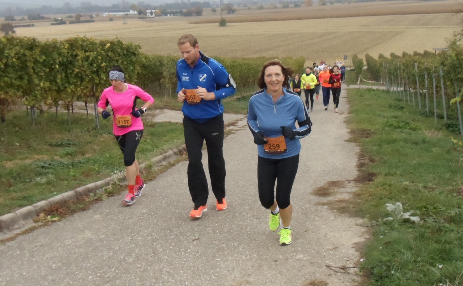 laeufer_2016_19_gross Läuferinnen und Läufer der Laufgruppe des TV Wolfenweiler-Schallstadt bei einem Wettkampf 2016