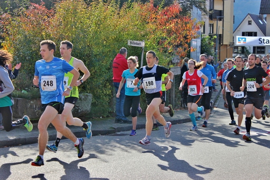 laeufer_2016_20_gross Läuferinnen und Läufer der Laufgruppe des TV Wolfenweiler-Schallstadt bei einem Wettkampf 2016