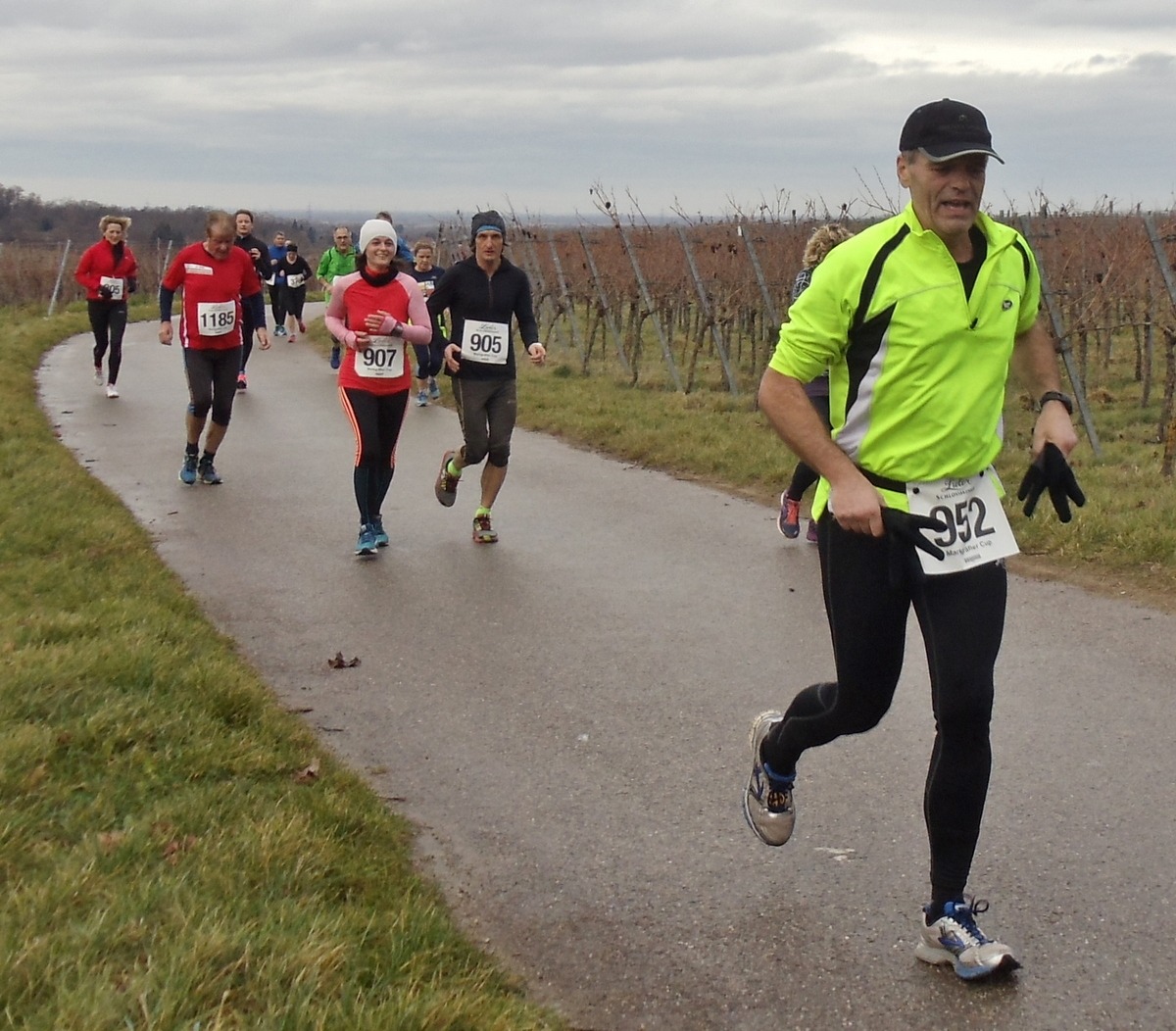 laeufer_2016_7_gross Läuferinnen und Läufer der Laufgruppe des TV Wolfenweiler-Schallstadt bei einem Wettkampf 2016